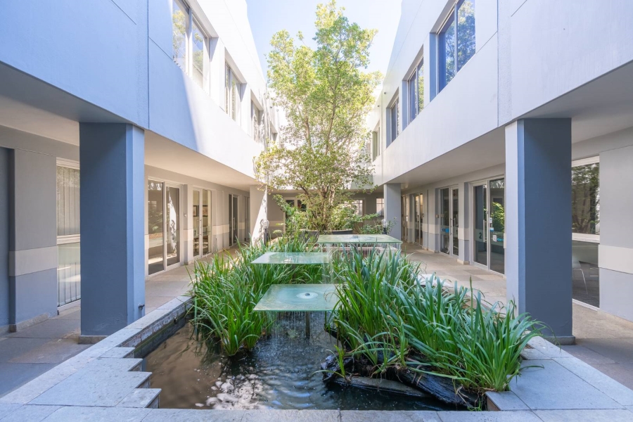 To Let commercial Property for Rent in Cape Town City Centre Western Cape